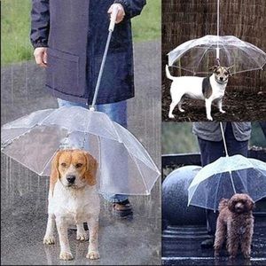 Doggie 🐶leash umbrella🐩🐶🐶🐶